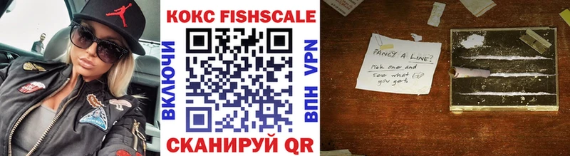 Cocaine Fish Scale  Купить закладки  Ясный 