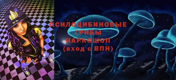 сатива Волосово