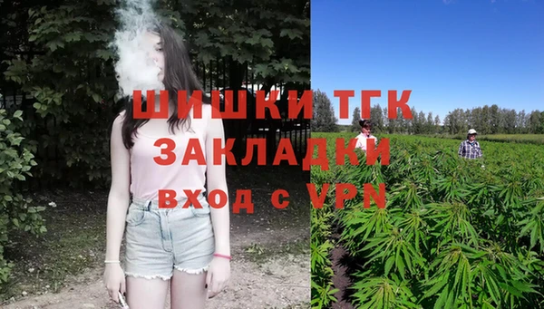 сатива Волосово
