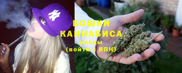 сатива Волосово
